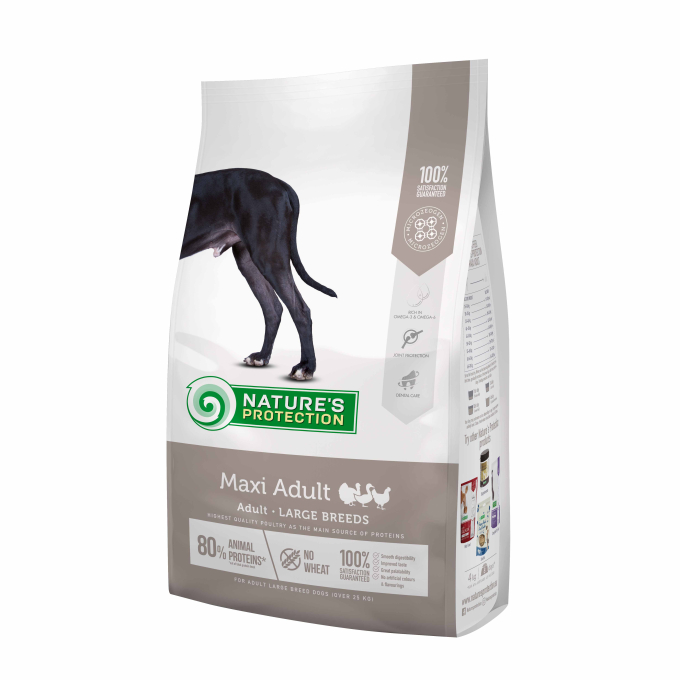 dry food for adult large breed dogs with poultry